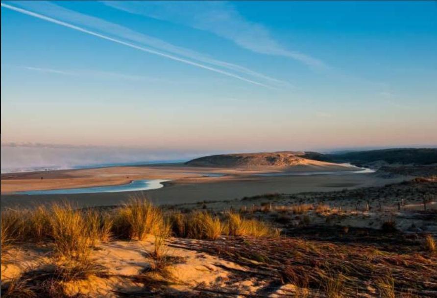 Appartement Proche Lac Et Plage Léon Dış mekan fotoğraf
